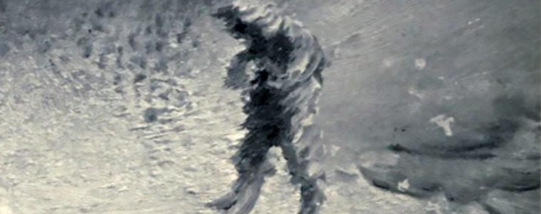 Spectral figure of Arctic explorer